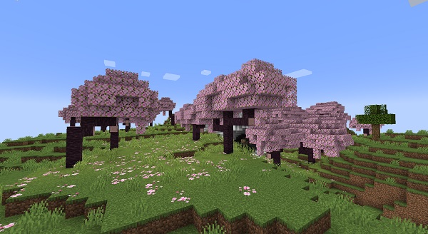 Minecraft getting new cherry blossom biome in this year's big 1.20 update