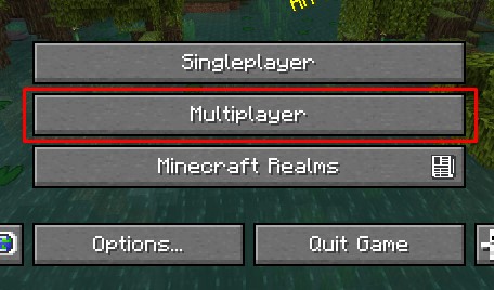 Click multiplayer Button