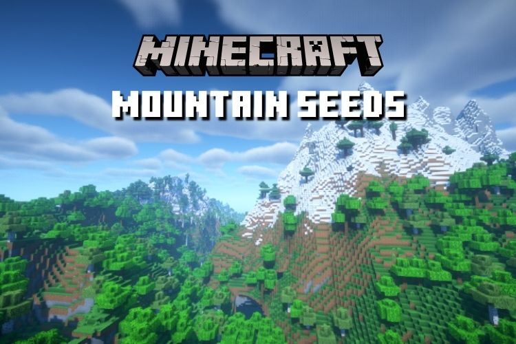 MINECRAFT 1.20 - A MELHOR SEED PARA COMEÇAR A JOGAR (MCPE, Xbox,  Playstation, PC) 