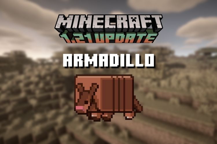 Armadillo Java Minecraft Skins