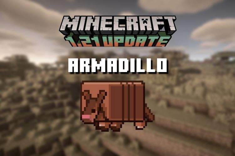 Minecraft on X: The armadillo received over 40% of the over 5