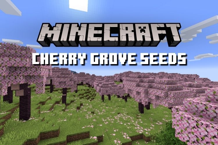 5 best Minecraft seeds for villages in 1.17 Pocket Edition