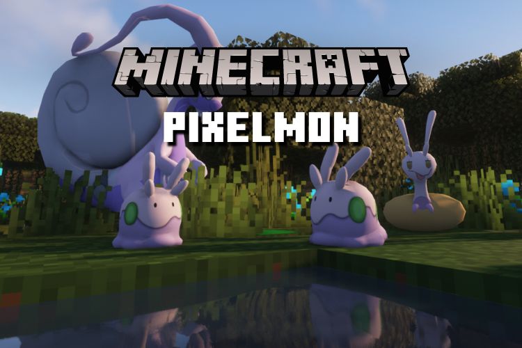 Pixelmon