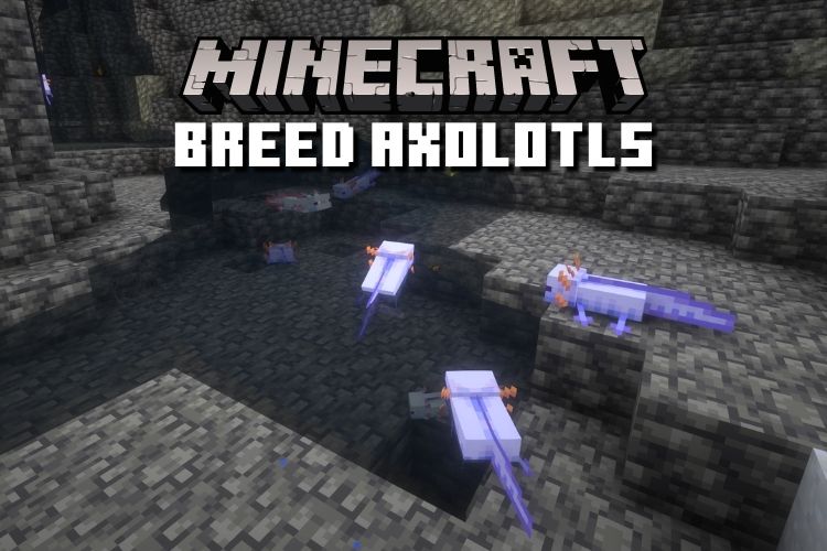Minecraft axolotl guide – how to find, breed, and tame