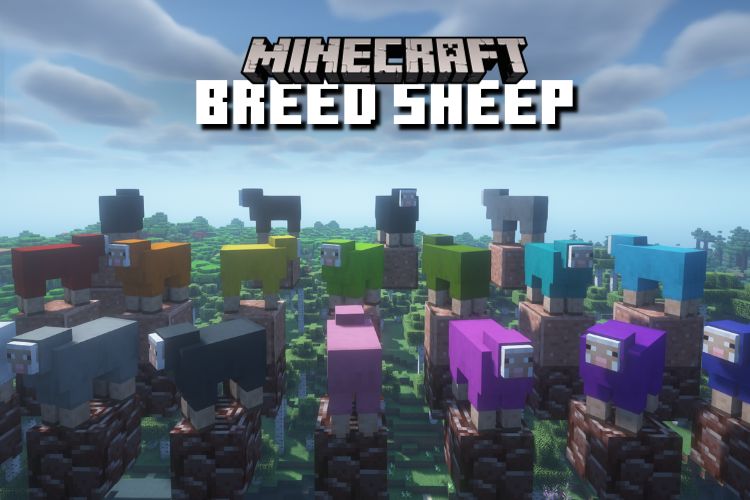 How To Breed Sheep In Minecraft Easy Guide 