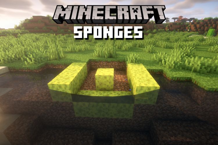 How to Get Sponges in Minecraft Easy Methods (2023)