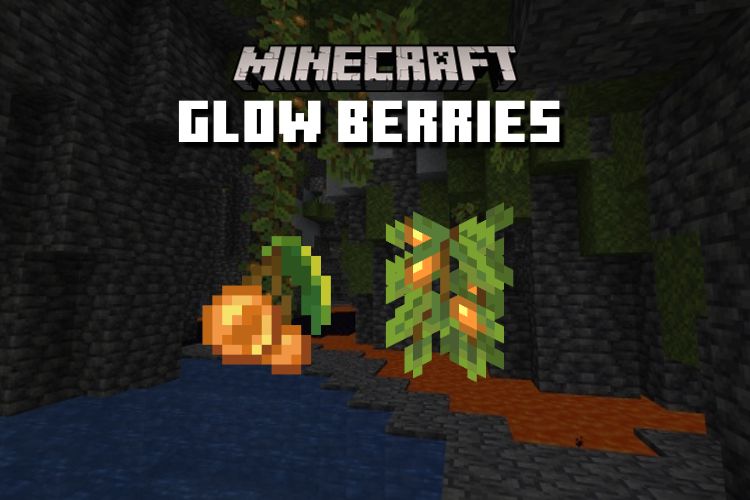 How to Grow Glow Berries in Minecraft Easy Guide