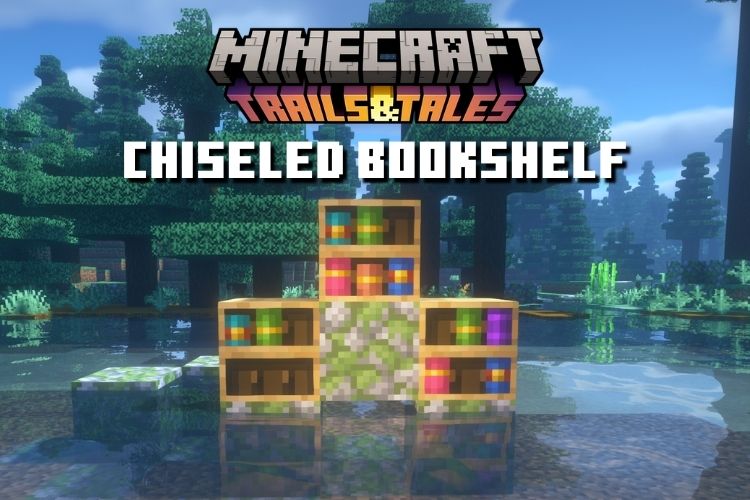 How to use the CHISELED BOOKSHELF from Minecraft 1.20! 