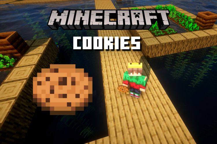 minecraft cookie in game