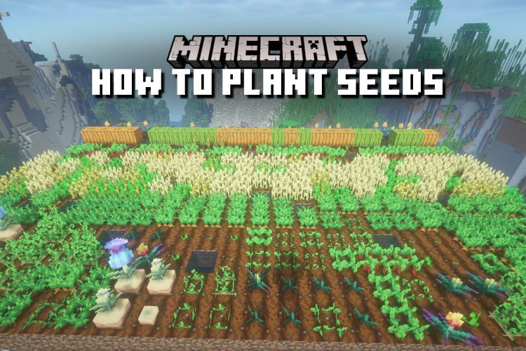 How to Plant Seeds in Minecraft